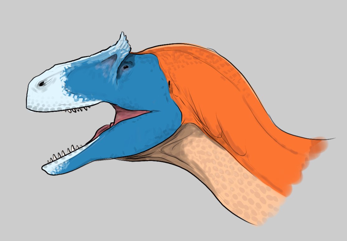 <a href="/MRJEFFTHEALLOS/">🦖MR JEFF 🐲🍉(U BOI IS OLD🎂🎂)</a> Look at this lil bugger happy birthday Jeff 🎂