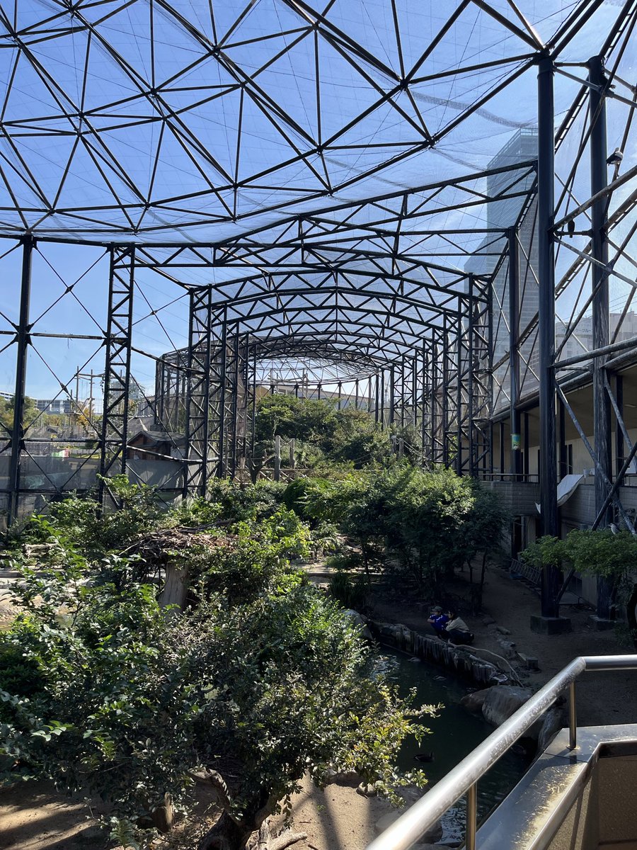 久しぶりに大阪へ。天王寺動物園に初めて行きました。#大阪　#天王寺動物園