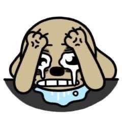 머리로는모든걸이해하는데받아드리고싶지않음