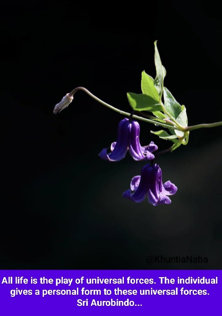 All life is the play of universal forces. The individual gives a personal form to these universal forces.

Sri Aurobindo...
Letters on Yoga - I

#SriAurobindo
#TheMother
#Universal