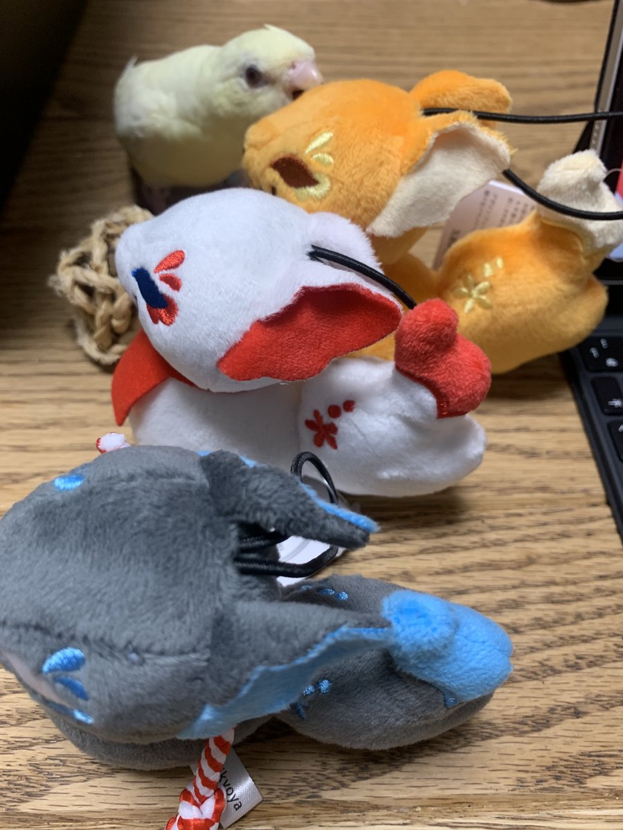 🦊✨「だいきょ屋コレクション 華なり狐の御一緒マスコット」全国の