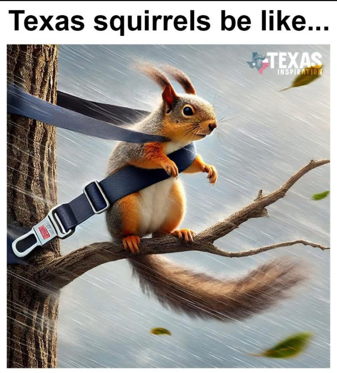 70Roxx's tweet image. #Texas #TWX