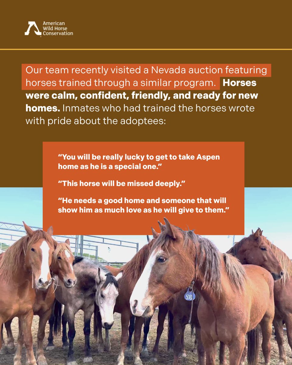 FreeWildHorses's tweet photo. ❓ Why invest in crisis when we can invest in prevention? It’s time for BLM to stop cutting the programs that work and start reforming the ones that don’t.❗
#wildhorses #training #Colorado #fertilitycontrol #Illinois #Ewing https://t.co/EPIRvhu06q