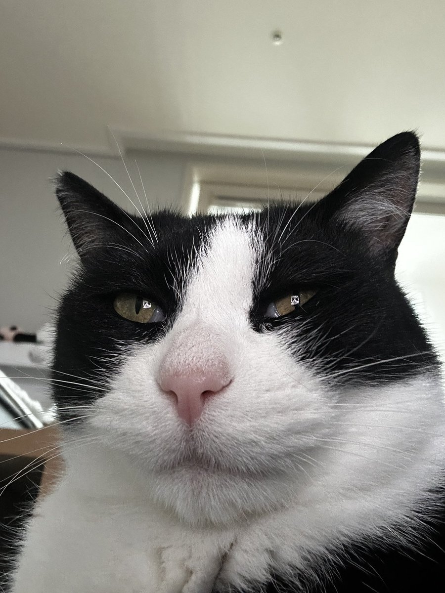 당장 그 말 치소하세요.