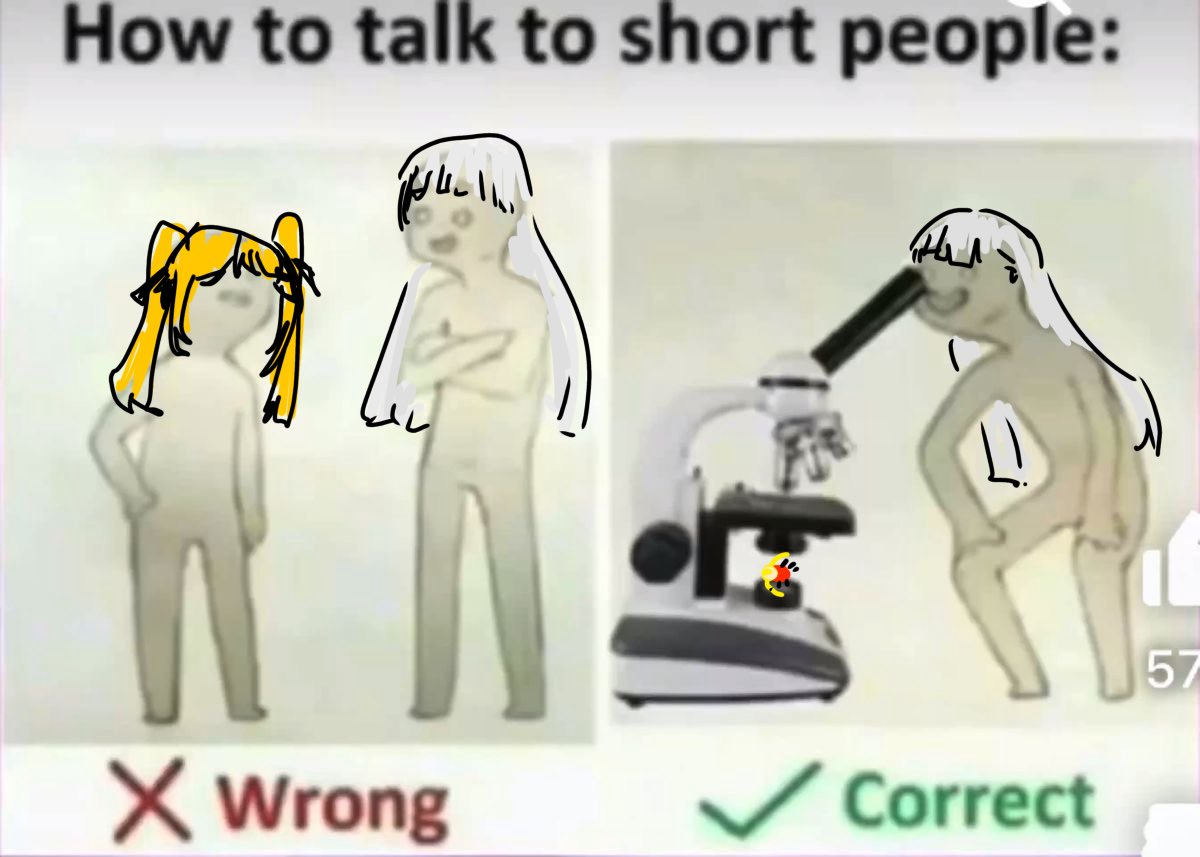 ⋆₊‧ ☽ Daily Meariri ☾ ‧₊⋆ (@dailymeariri_2) on Twitter photo 