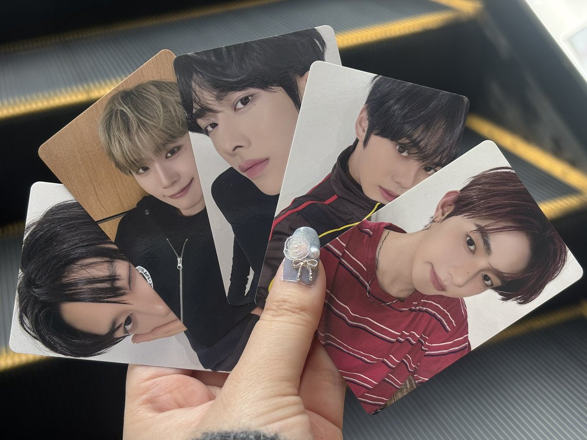 말티즈🧀 tweet media