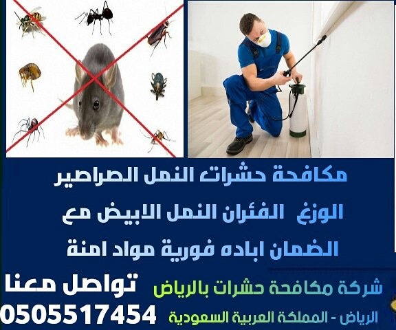 elshrouk_ksa's tweet photo. شركة تنظيف بالرياض فلل شقق منازل🏡
تنظيف غسيل مجالس سجاد 
تنظيف مكيفات بالرياض
تنظيف خزانات عوازل خزانات
جلي بلاط

شركة مكافحة حشرات بالرياض بالضمان🐜
مكافحة فئران النمل الصراصير🐀
مكافحة النمل الابيض رش الدفان
تركيب طارد حمام🕊

نقل عفش فك وتركيب نقل الاثاث تخزين اثاث🚚 https://t.co/VcojgrNZI5