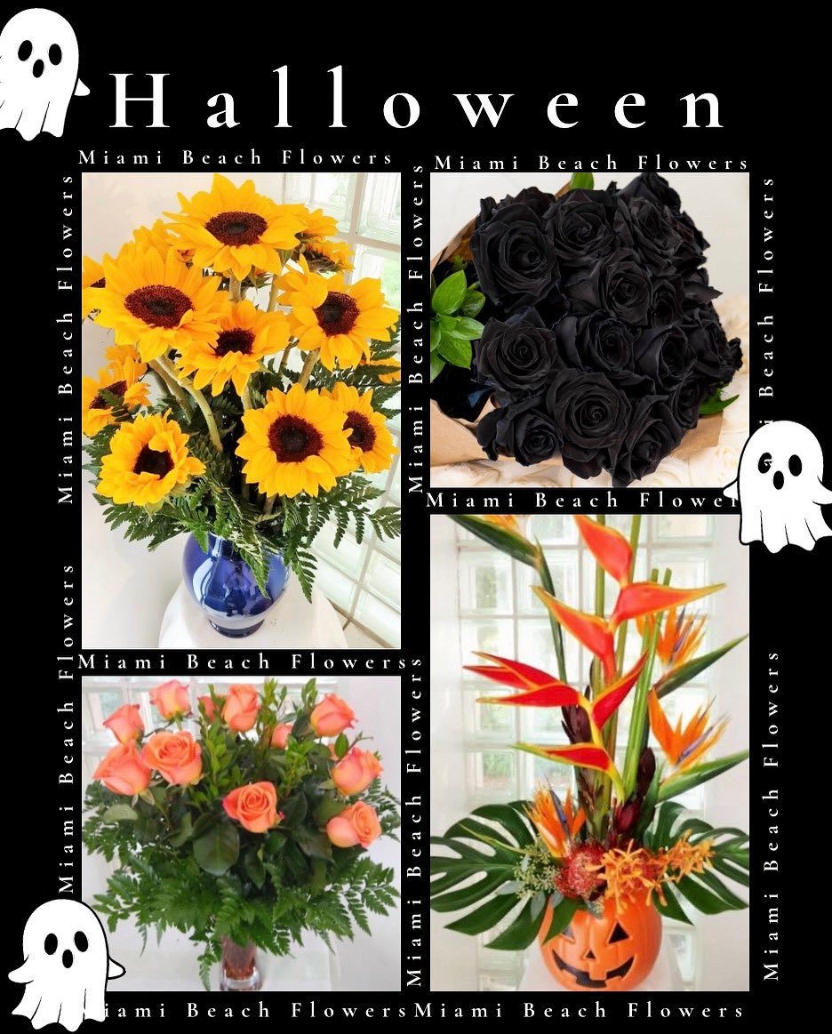Surf_Florist's tweet photo. Where flowers meet fright—Halloween never looked this pretty 🌹🕷️

Arrangements pictured 🎃:
A Dozen Black Roses
A Dozen Orange Roses 
Spooktacular Halloween 
Endless summer 🌻 https://t.co/nodKlYLGbW