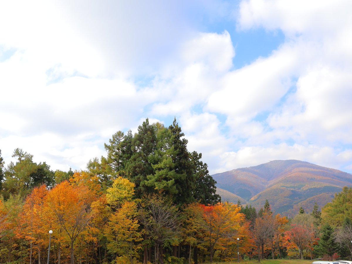 ゆこたんの森【岩手 雫石 南網張ありね 温泉】 on X