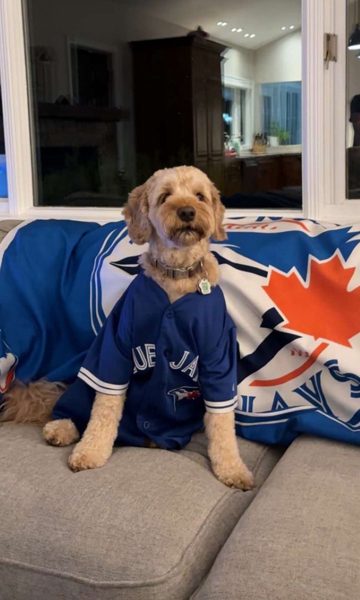 Sherry Foster tweet media