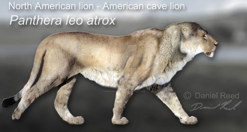 Missy Lily tweet media