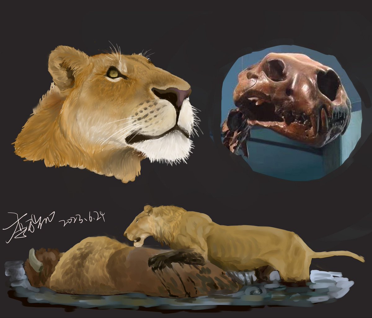 Missy Lily tweet media