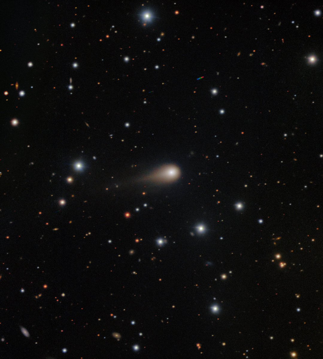 DanielParraV's tweet photo. Está totalmente confirmado que el objeto 3I/ATLAS es un cometa proveniente de fuera de nuestro sistema solar. No hay evidencia creíble que se trate de alguna nave. #3IATLAS https://t.co/jponOF3Fq0