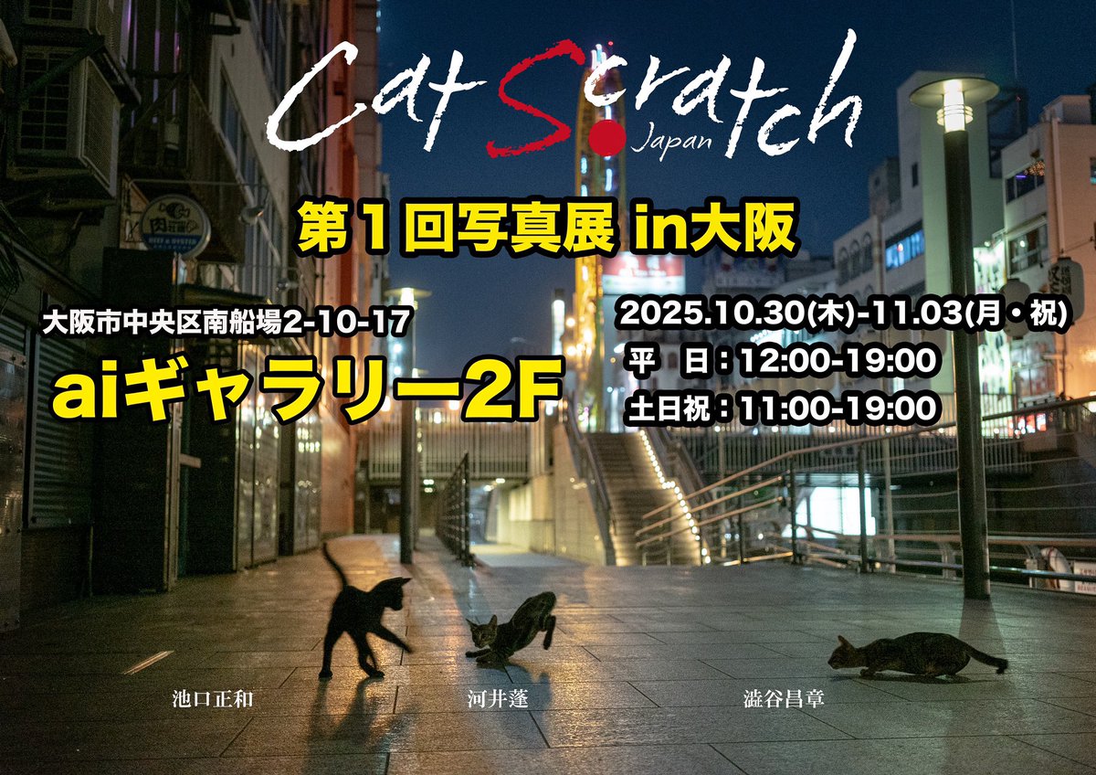 m_shibuya_cat's tweet photo. 本日より開催！
お近くの方是非遊びに来てくださいね😸
#ねこ写真展 #catscratchjapan https://t.co/hdfaB6s62g