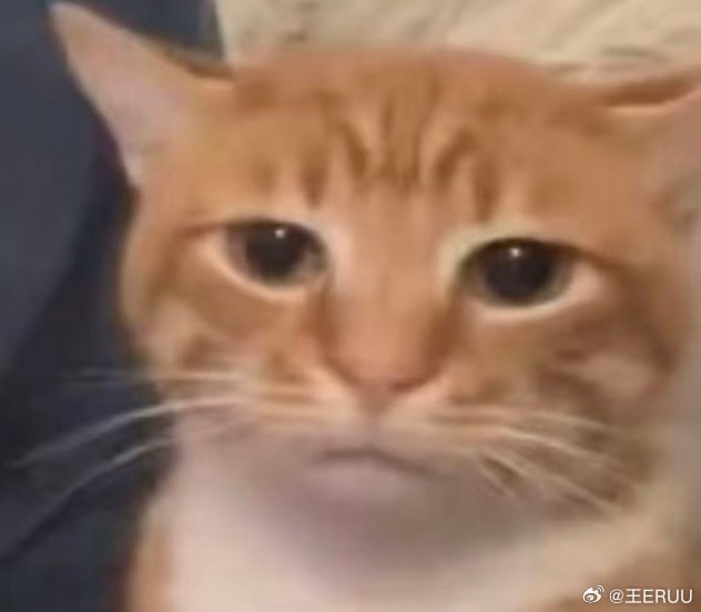 Wake me up when my girls finally beating that evil ass holeshit agency