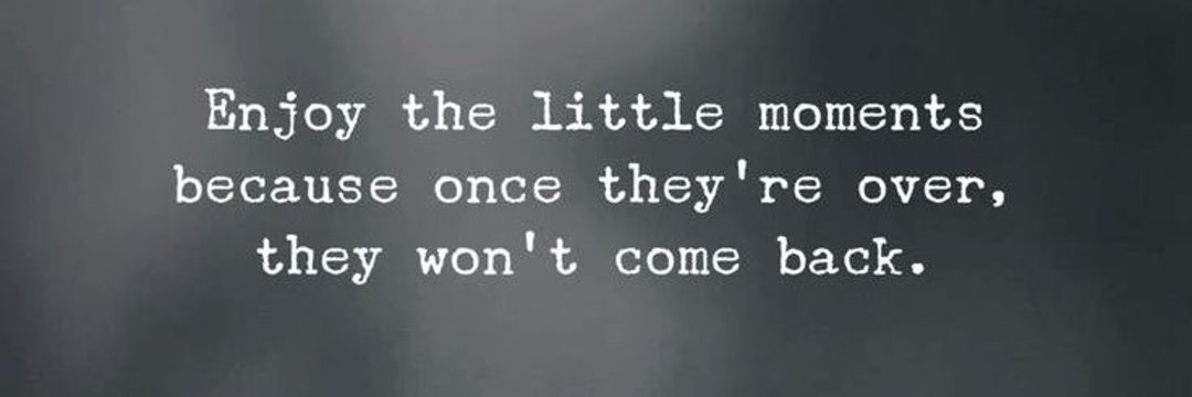 lm_Lin's tweet image. 📌