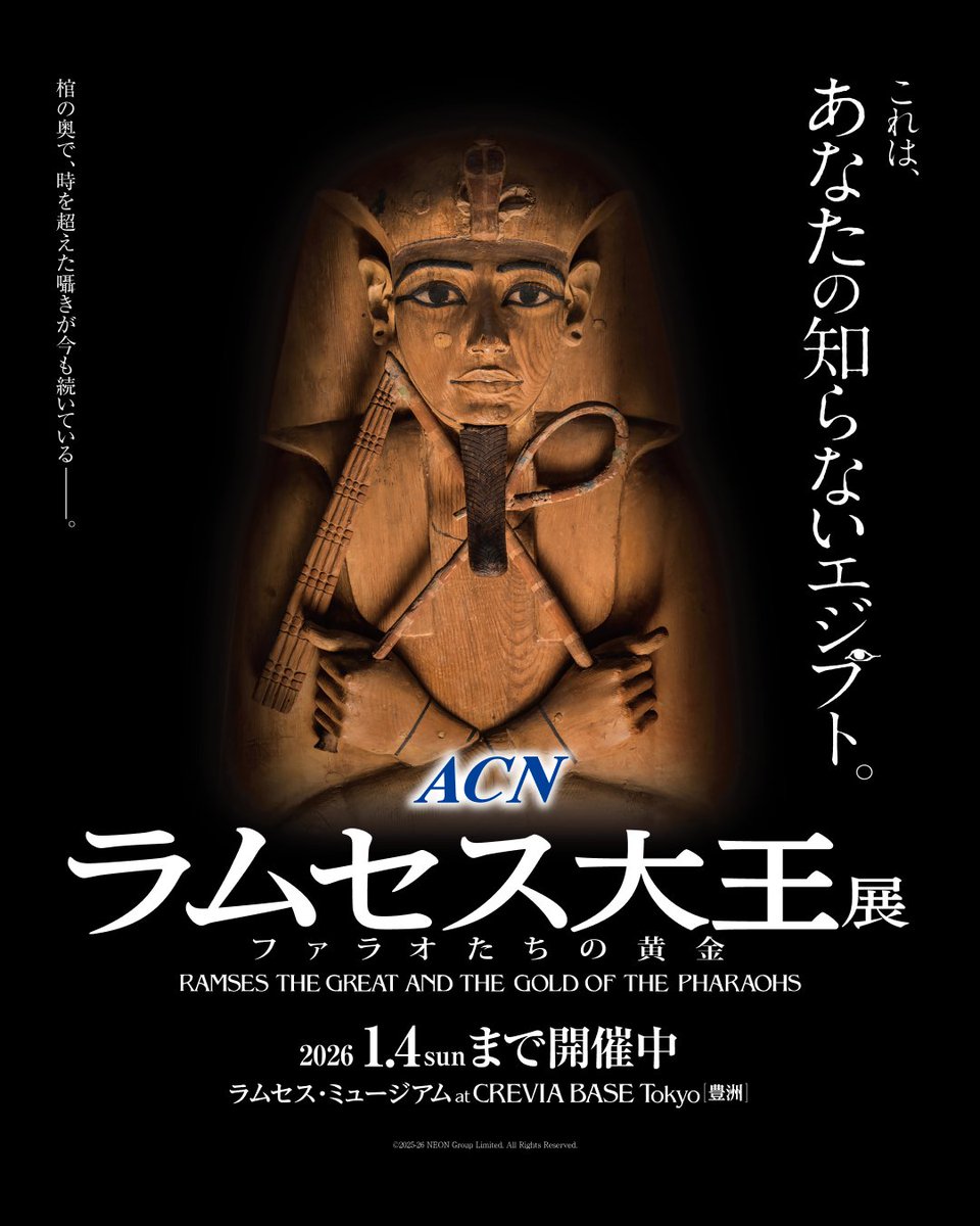 最新情報をゲット！歴史エキシビション🔍 「#ラムセス大王展」x
