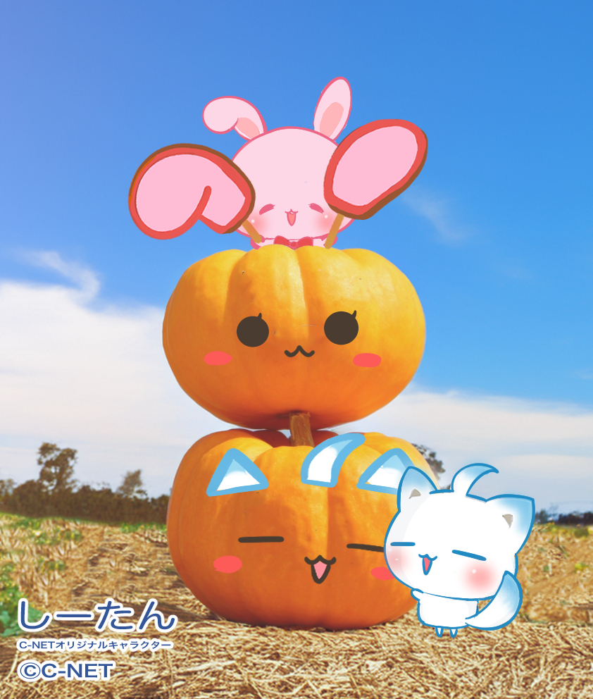 JDCS_2022's tweet image. しーたん🦊「こんにちわんo(*°ᗜ°*)o💛

明日の ＃ハロウィン パーティの準備してたら
しーたんそっくりのカボチャさんができたん🎃

なんだか満足したから
寝ることにするね…_(⸝⸝-𖥦-⸝⸝`_)⌒)_💤

今日もよろしくね🍀٩(｡˃ ᵕ ˂｡)و💛」

#企業公式が挨拶を言い合う
#企業公式相互フォロー祭り