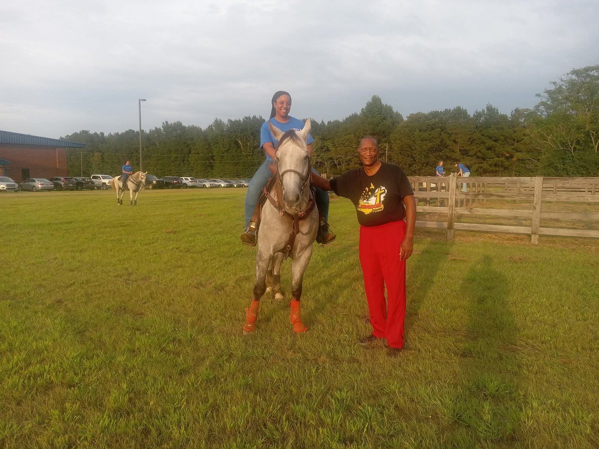 u0s0c's tweet image. #Horses