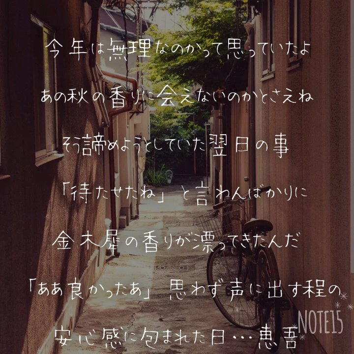 10月30日(木)
皆さんは今年も金木犀に出会えましたか…？