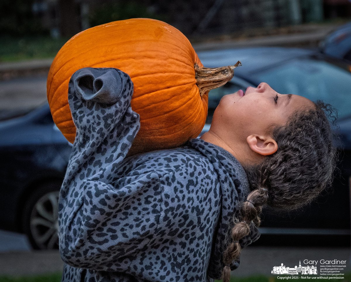 A young girl struggles to balance a pumpkin chosen on Wednesday at the Scout Pumpkin Sale at the Masonic Temple in Uptown Westerville. My Final Photo for October 29, 2025. rebrand.ly/mfp102925