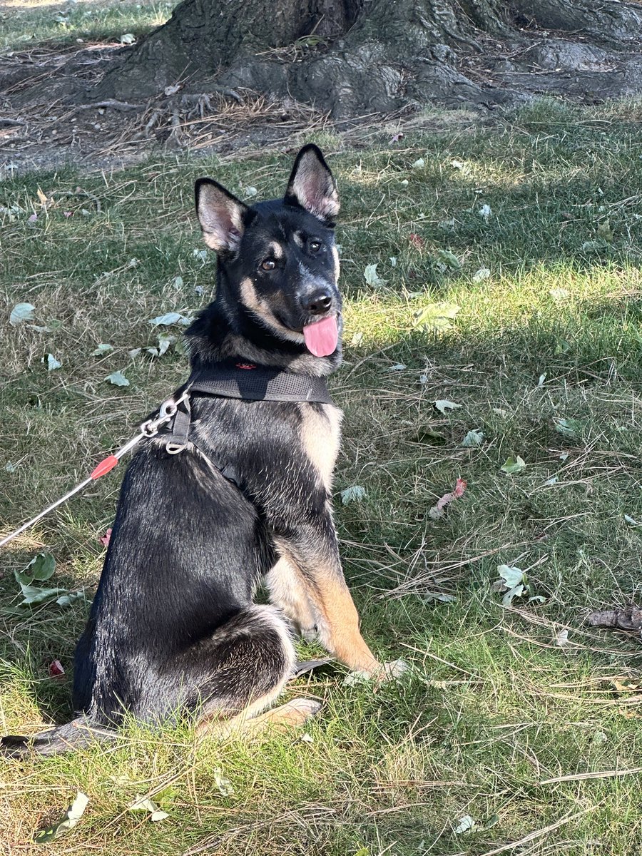 BIG H0MIE 6IX 🥶 tweet media