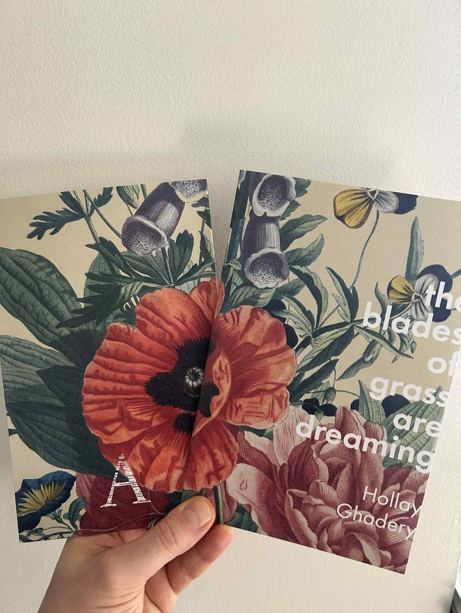 You can now order a copy of my chapbook, the blades of grass are dreaming, directly from Anstruther Press:

anstrutherpress.com/#/the-blades-o…

This is a wee collection of occasional verse.

Thank you to Jim Johnstone for this picture, &amp; everyone at Anstruther Press. 

#poetry #chapbook