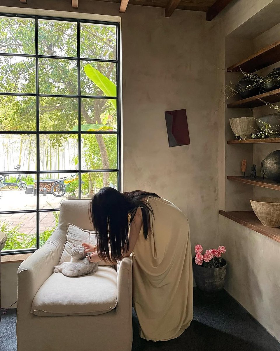 Hdafrefs's tweet image. 窓の外の緑と、静かな時間
猫と一緒に過ごす、何気ない幸せ