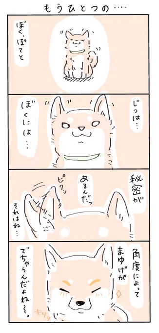 #4コマ漫画 #柴犬
 もうひとつの…(再掲) 