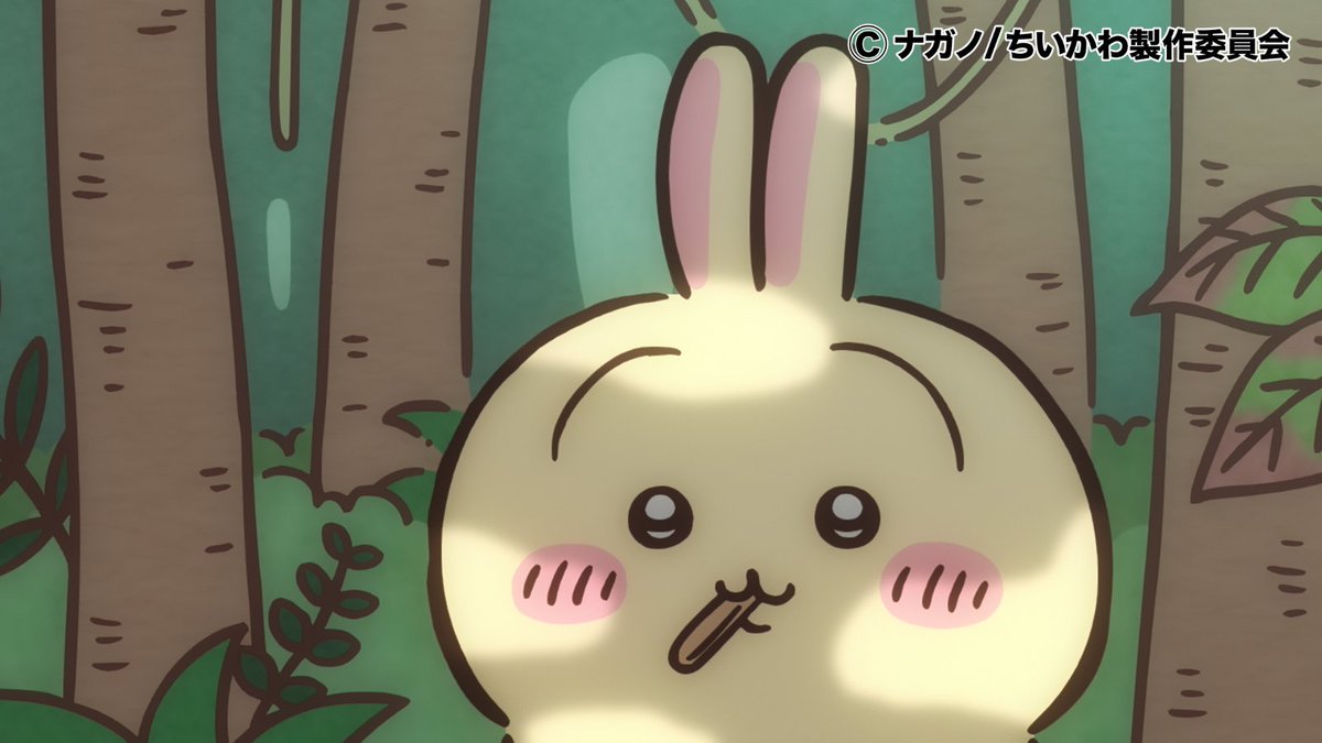 ✨14500円➡10000円✨【～3/16期間限定特価】国語全部入り ゆかり🍇お得情報発信中🛍👛 on X