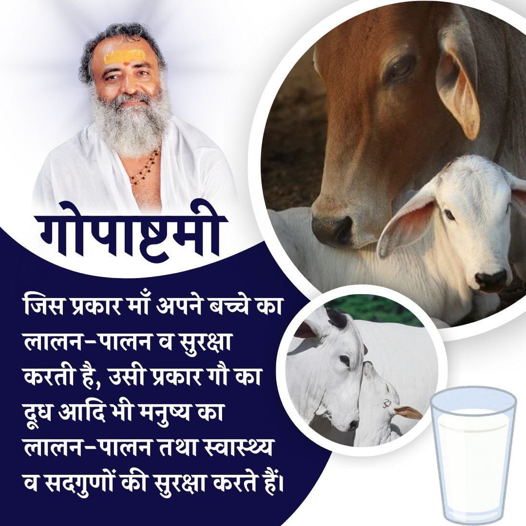 YssSpeaks's tweet image. #Gopashtami as explained by Sant Shri Asharamji Bapu, is a sacred festival that honors Gau Mata as the embodiment of divinity, dharma, and prosperity. It’s a day to recognize the spiritual and societal value of Gau Dhan and renew our commitment to cow protection.

Asharamji Bapu…