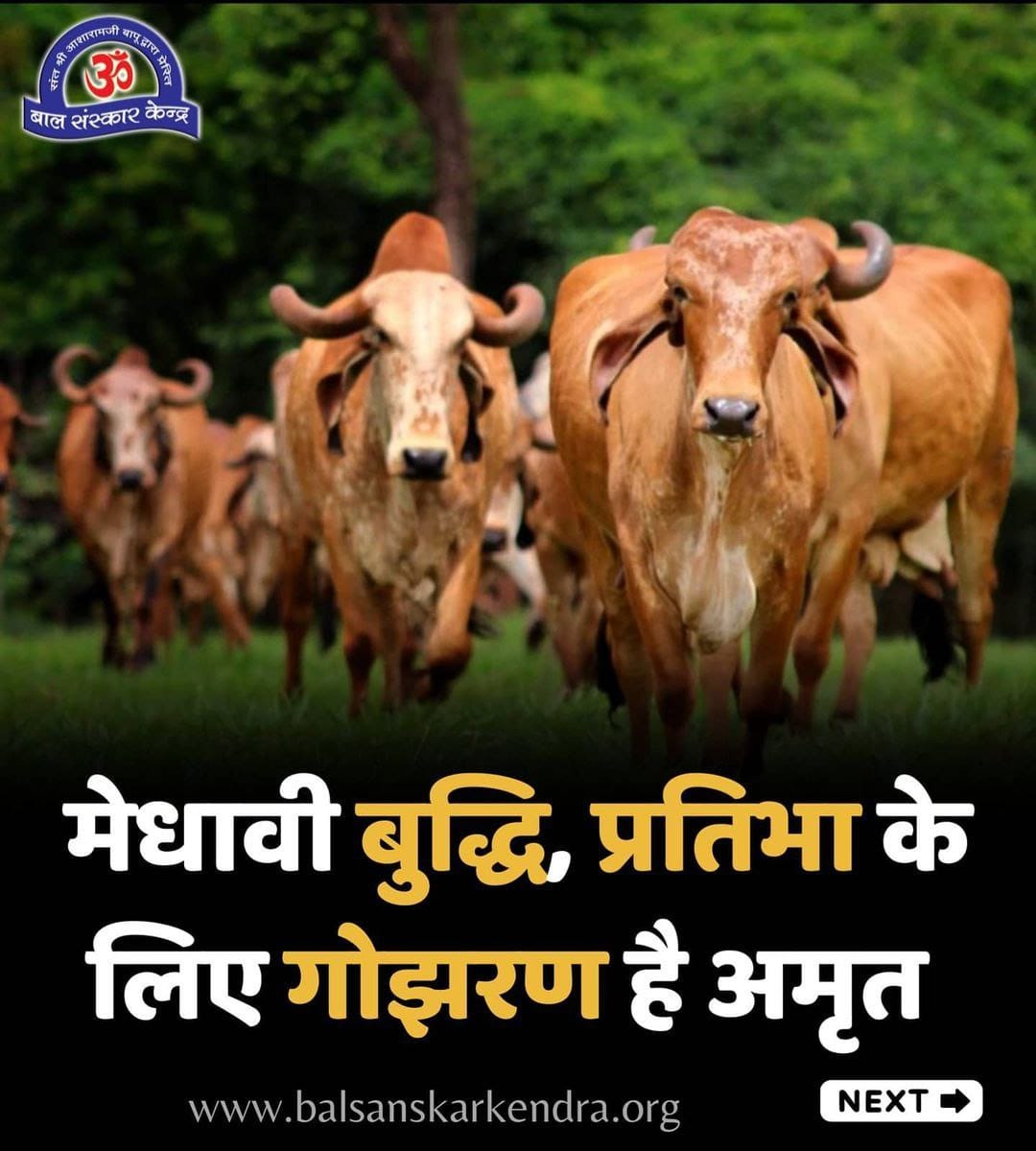 <a href="/YssSpeaks/">Young India Speaks</a> #Gopashtami
Gau Dhan
Gau Mata को आज गुड़ चना खिलाएं, उनकी आरती करें फूलमाला पहनाएं, समाज गौ महत्व समझे इसलिये यह पर्व मनाते हैं
 - Sant Shri Asharamji Bapu