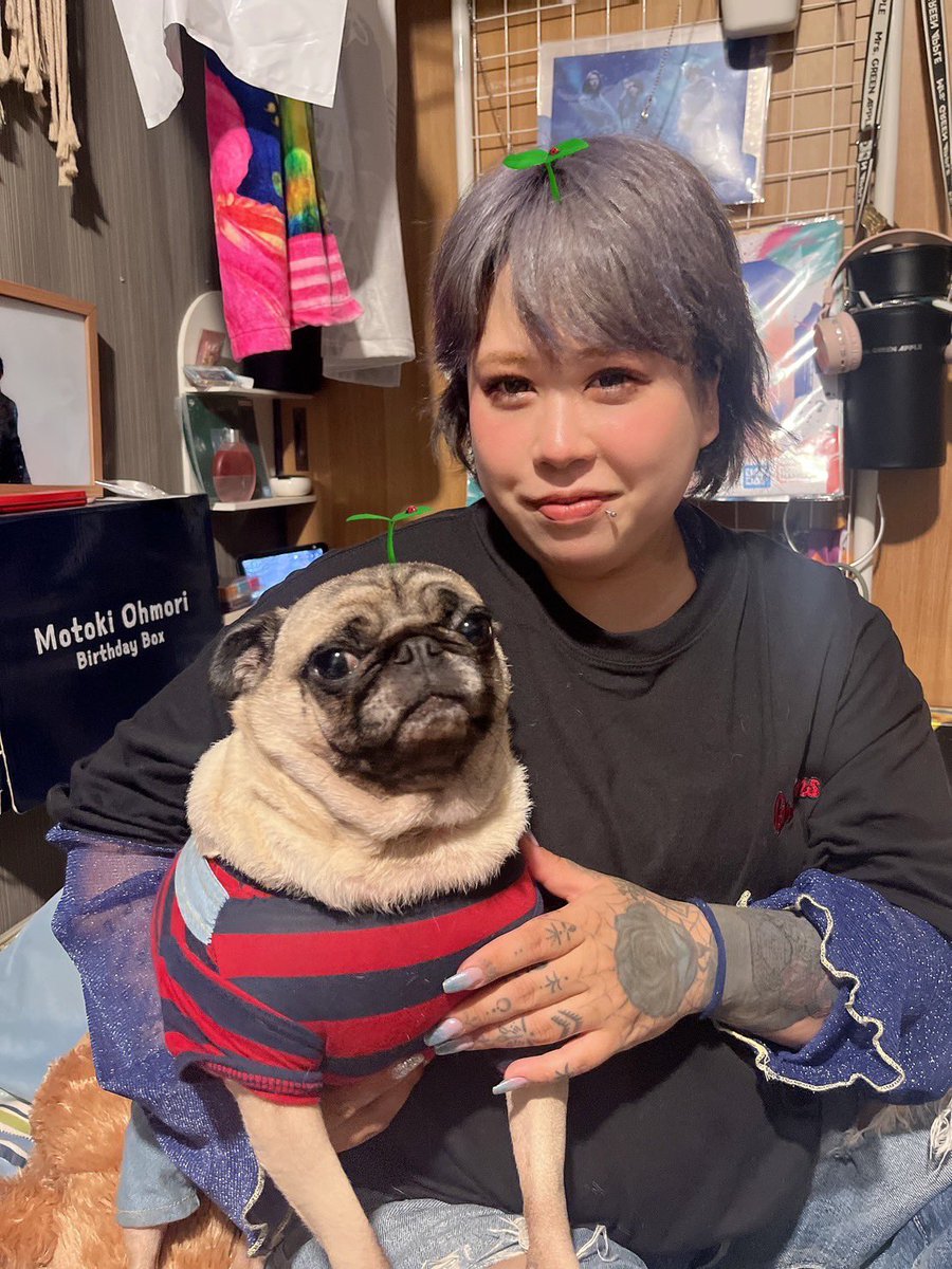 hanamomo様 なみむめも！ 11/29 ShinjukuDEBU dance！ on X