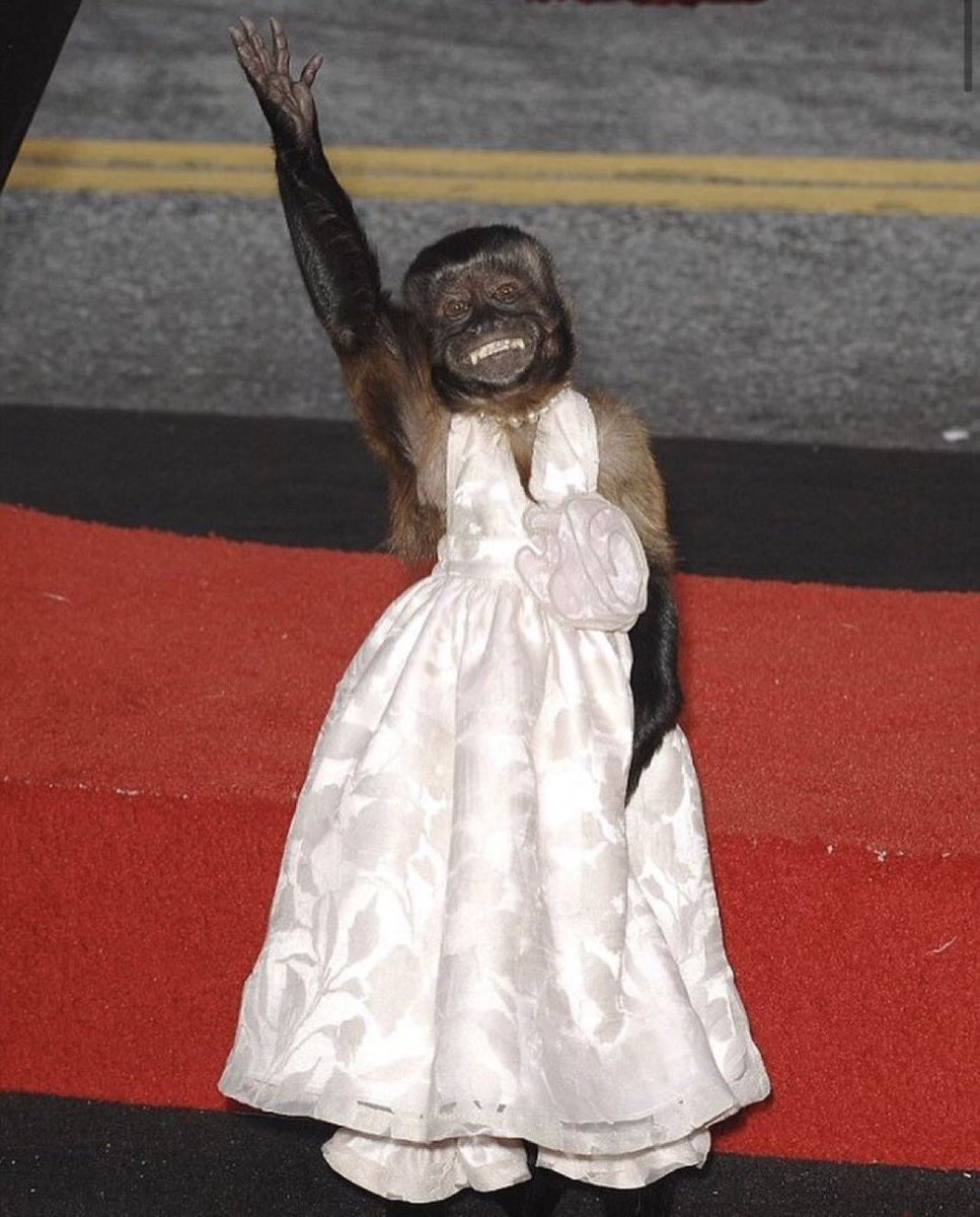 bijon 🍭 tweet media