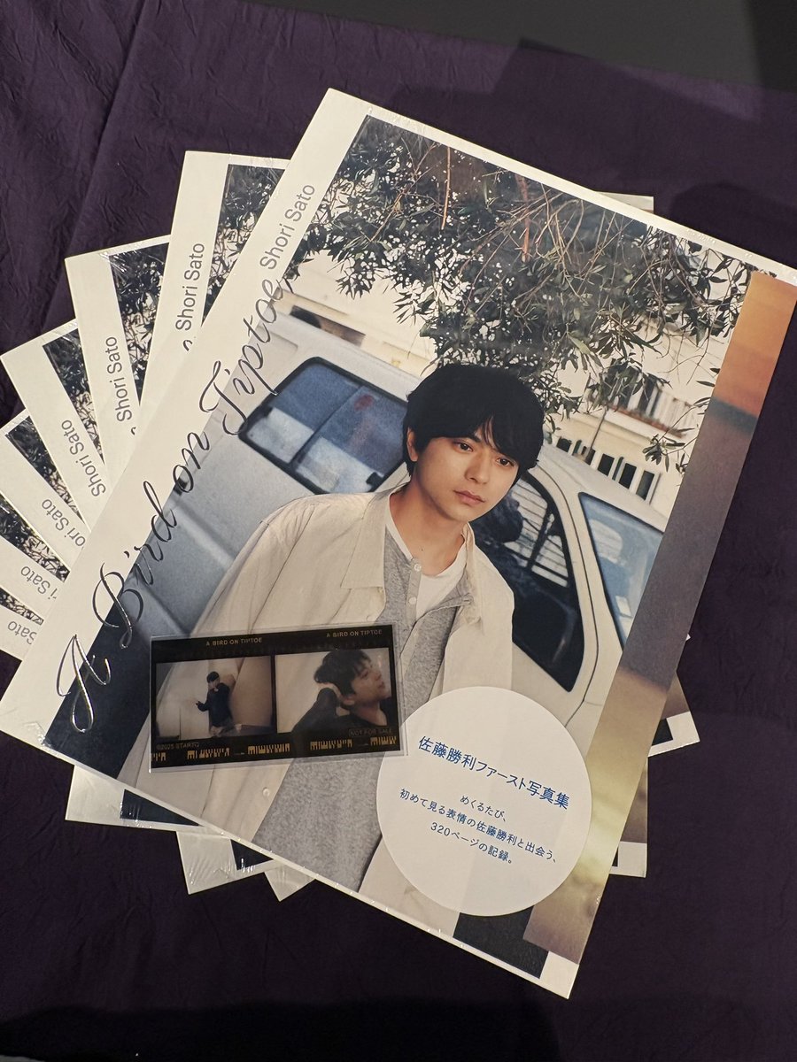 佐藤勝利 1st写真集『A Bird on Tiptoe』 クリアカード 特典