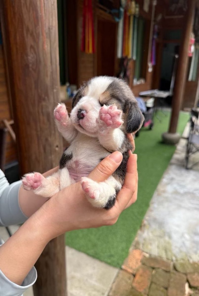 หยั่มคับ

ผมมั่ยน่าอมหรอด

ผมตุวแค่นิ่

มั่ยอาน่อยหรอดคับ