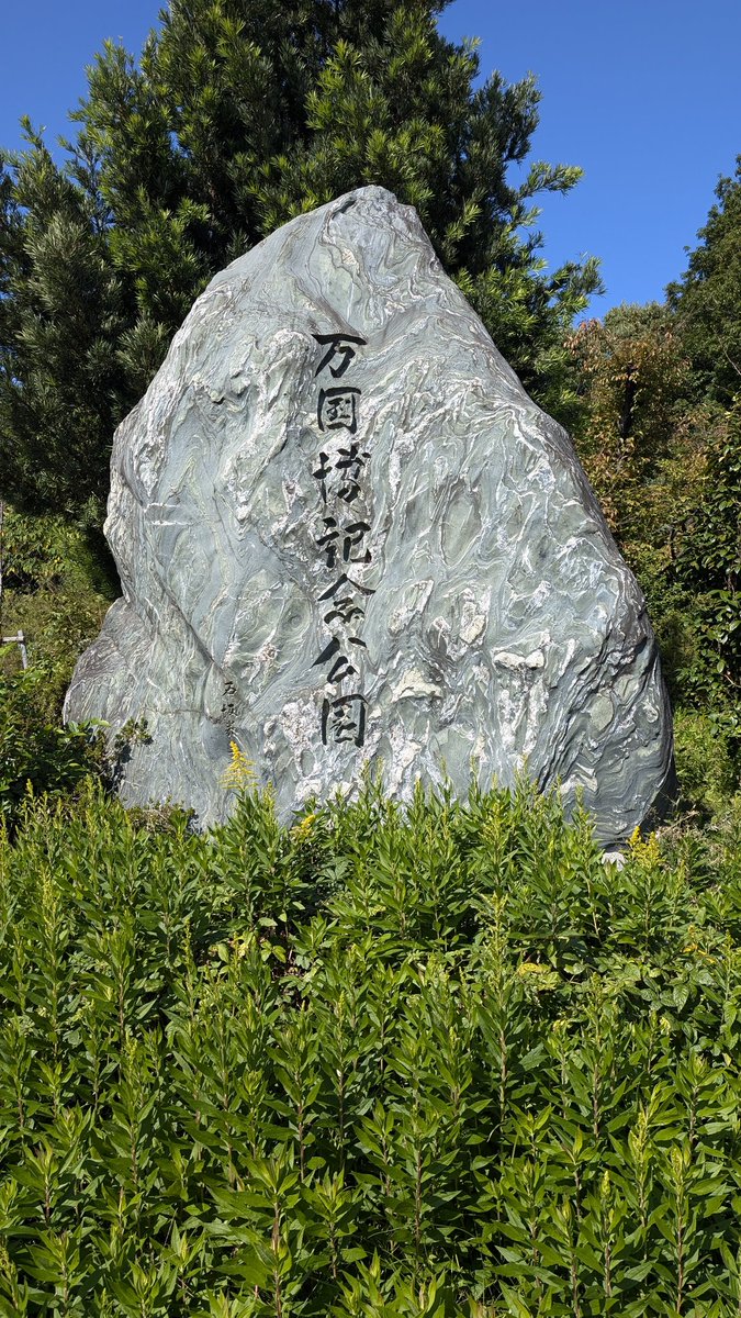 イチゴナツモモ54個 南アフリカ産 喜望峰産 イチゴナツモモ54個