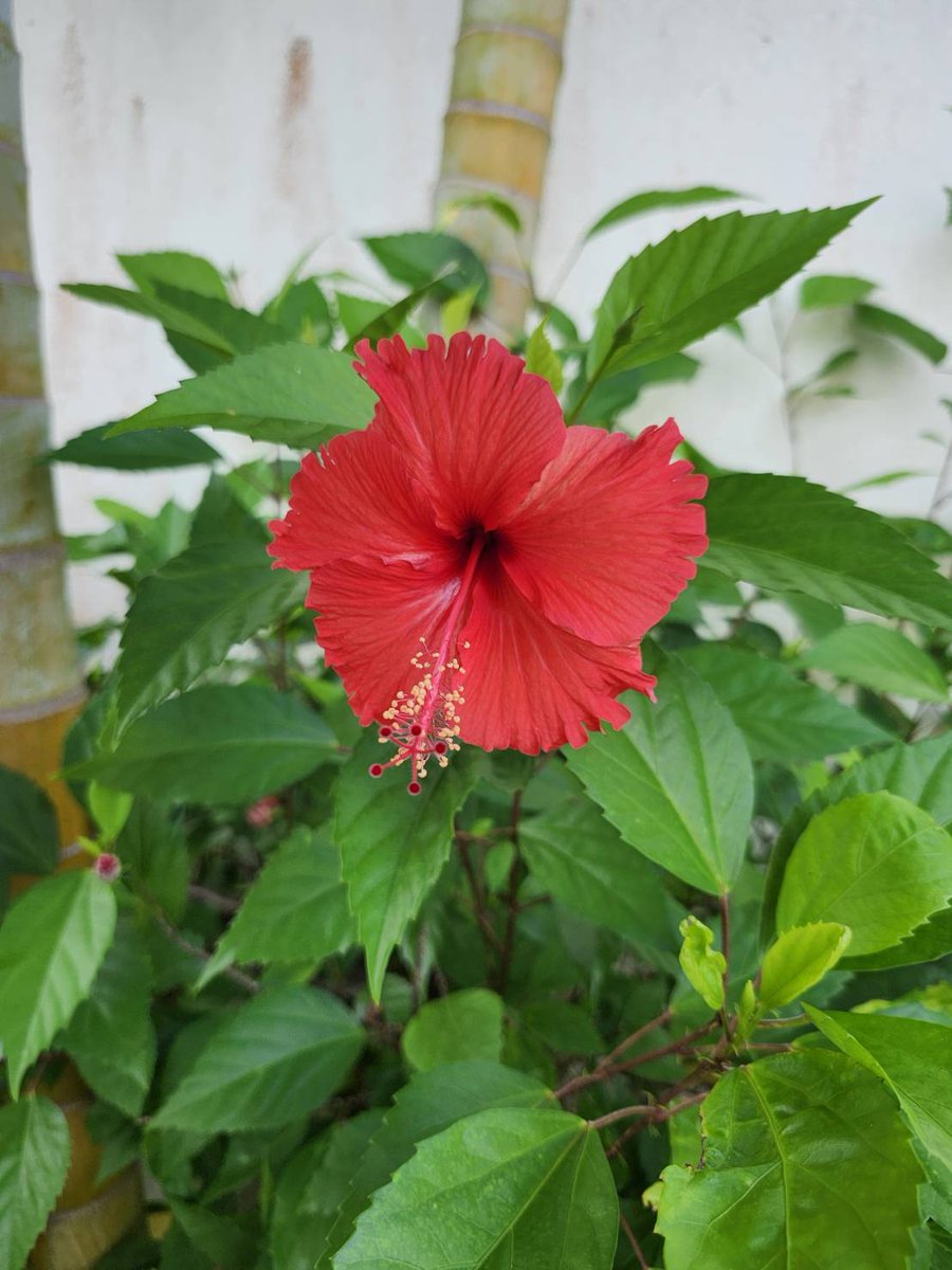 こんにちわっしょーい✨😃❗
昨日に引き続き
沖縄からの良い写真～☺️
なぜに沖縄の海は
こんなにキレイなのか。
#ドラクエ の世界も
こんなに海はキレイだろうか？
本日も探求心いっぱいに
頑張りまっす💪
#つぶやキコーナ
#企業公式相互フォロー
