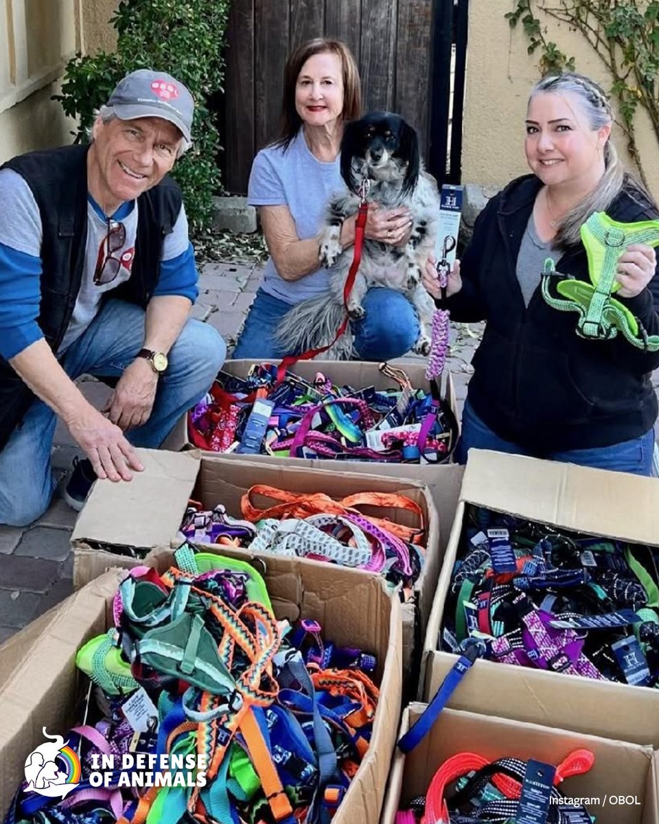 IDAUSA's tweet image. ICYMI: Operation Blankets of Love (OBOL) has supported animal rescues for 18 years &amp;amp; was an essential lifeline for displaced animals &amp;amp; their guardians during the fires. #LAFires
Read more: bit.ly/3WvatpS
Pls RT