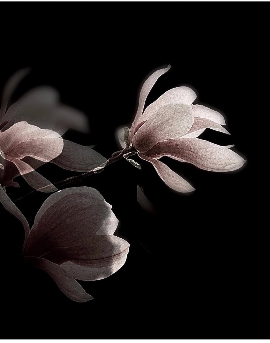 برحمتك إلهنا تُقضى الحاجات 🫧
#صباح_الخير