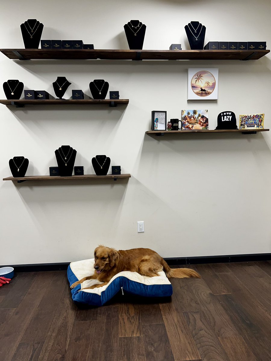 🌴My new space host is locked in and ready to bring paw-sitive vibes 🐾