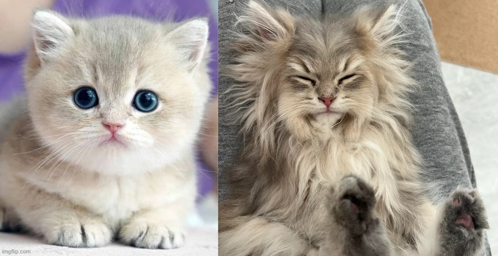 First day                                    3 Years 
in Crypto                                  in Crypto