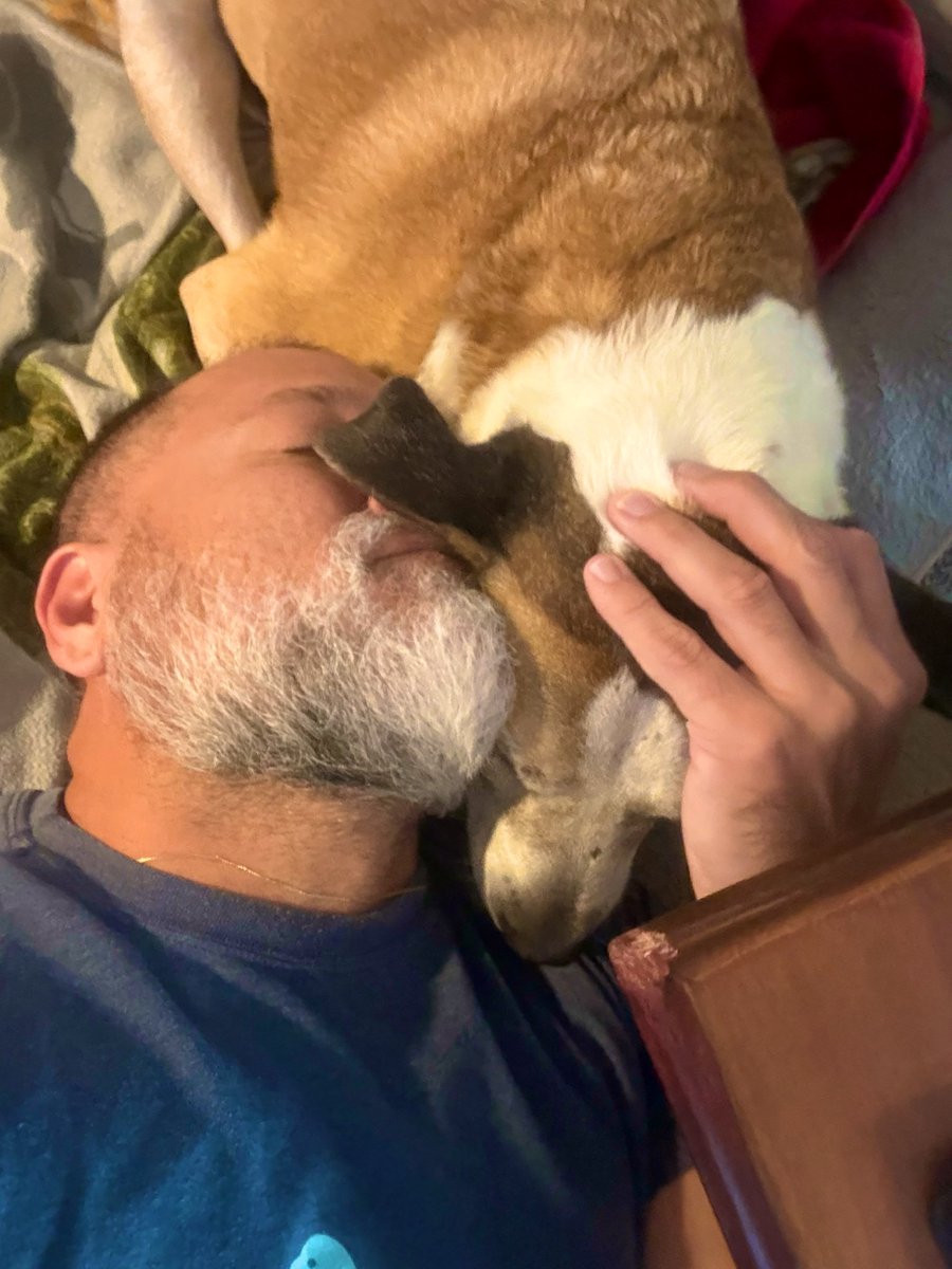 Olores que solo un padre disfruta 🐕👂👃(Cheetos)