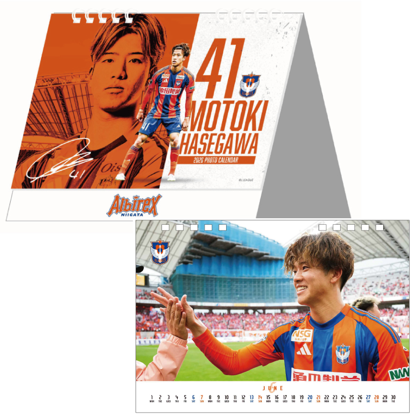 きらきら星🦢 (@Hoshi_oshi_19) / Posts / X