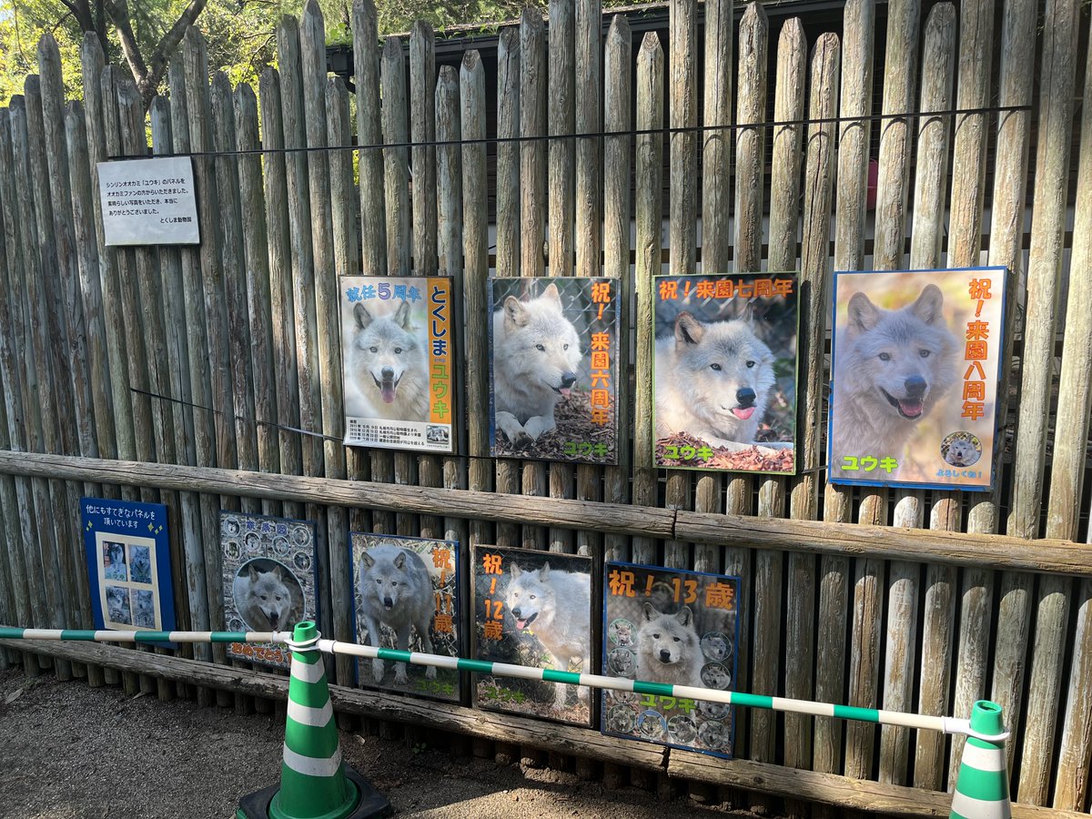 ポスター　「狼と羊」 ポスター 「狼と羊」