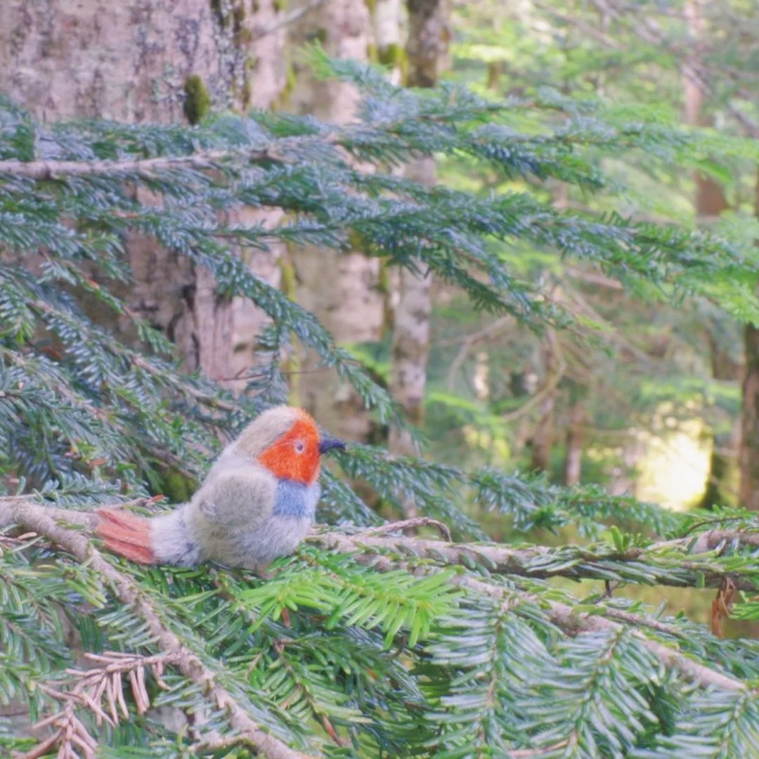 yukocoomomo's tweet image. cooomomo*おおはたゆうこ
30周年個展
The rabbits living in the secret garden
～秘密の花園に住むうさぎたち～

ギャラリーマド
(杉並区・西荻窪駅徒歩3分)　
2026年3月12日(木)～3月16日(月)
12時-19時(仮)