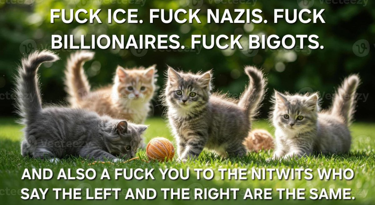 Karen Michelle Parker tweet media