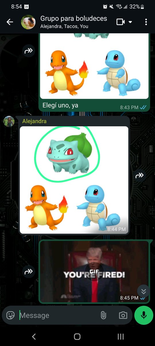 This is legal grounds to fire my VA, right?? Actually, they both chose Bulbasaur, so they both gotta go...