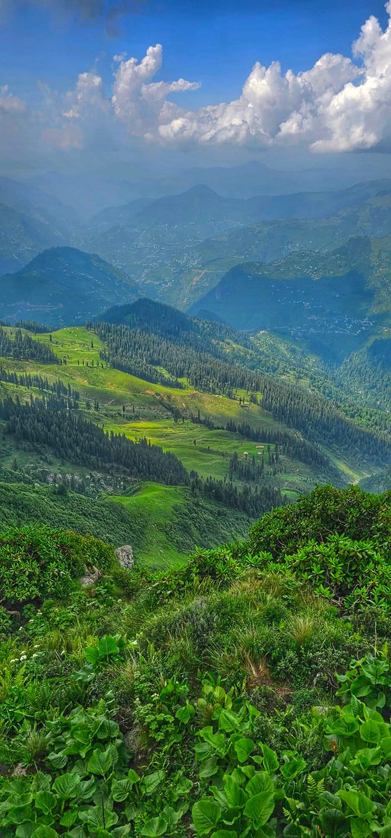 "اللہ کی نشانیوں میں سے ہے کہ اس نے تم کو مٹی سے پیدا کیا پھر اب انسان بن کر (چلتے پھرتے) پھیل رہے ہو۔"
القرآن الکریم 
السلام علیکم 
صبح بخیر 🕊️