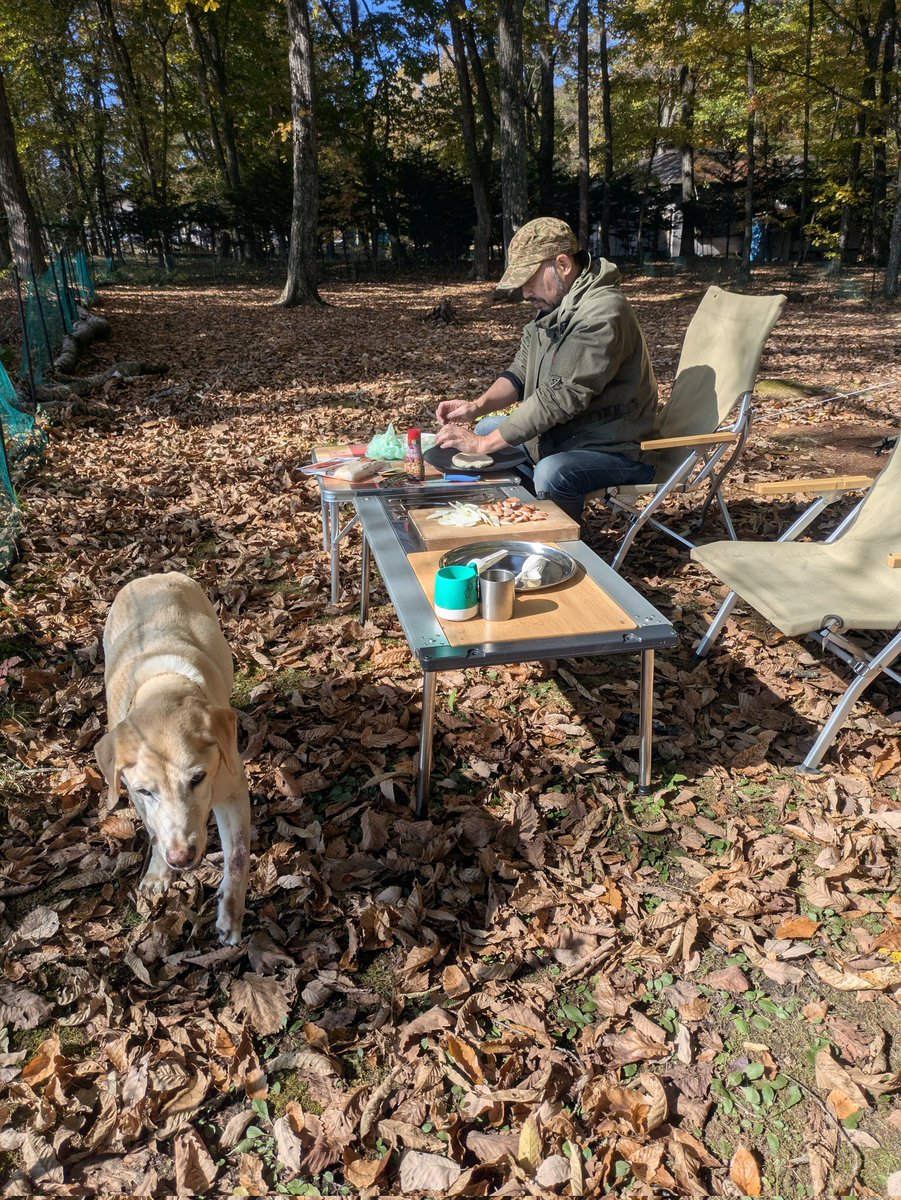 sasshiko's tweet image. ピザ焼くよー😆🙌
暖かくて気持ちいい🎶
#北軽井沢フリーサイトベース